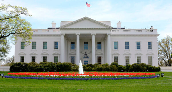 📍WASHINGTON D.C.- WA - Image 2